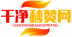 干净秒赞网